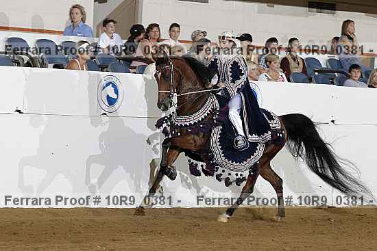 Proof 10r9_0381