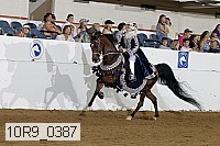 10r9_0387 proof