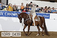 10r9_0439 proof