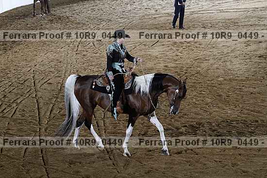 Proof 10r9_0449