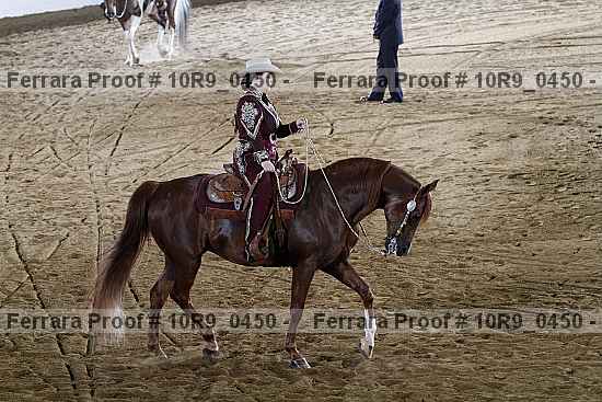 Proof 10r9_0450