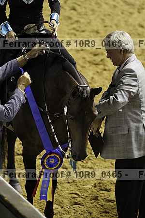 Proof 10r9_0465