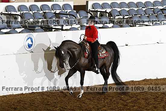 Proof 10r9_0485