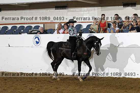 Proof 10r9_0493