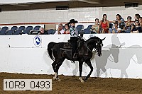 10r9_0493 proof