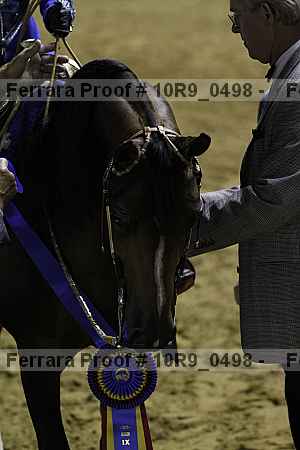 Proof 10r9_0498