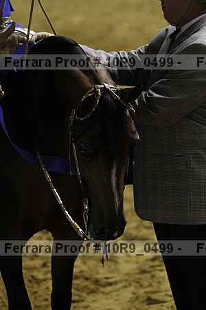 Proof 10r9_0499