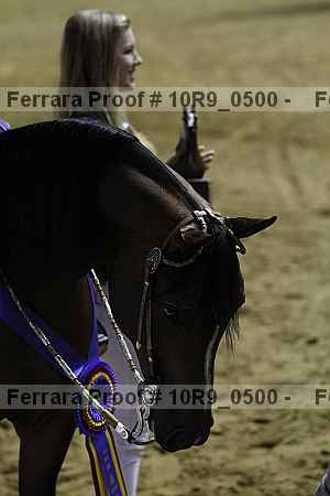 Proof 10r9_0500