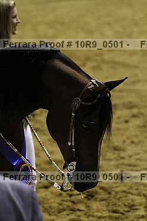 Proof 10r9_0501