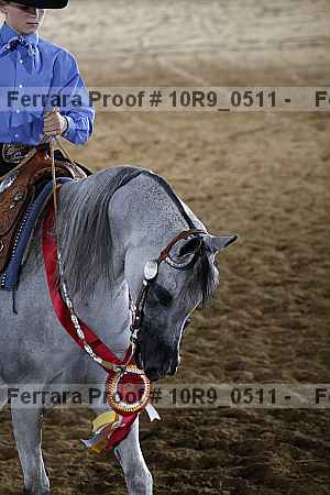 Proof 10r9_0511