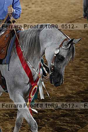 Proof 10r9_0512