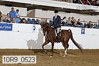 10r9_0523 proof