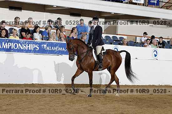 Proof 10r9_0528