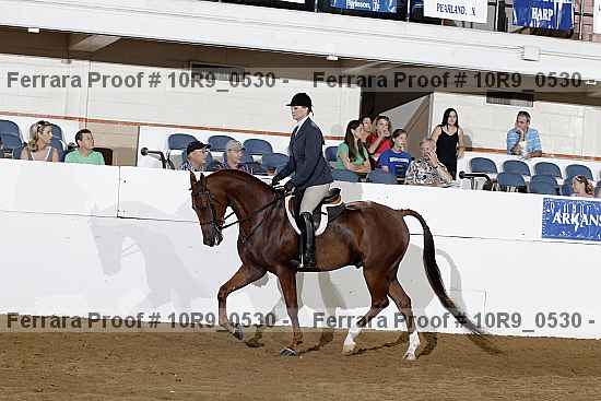 Proof 10r9_0530