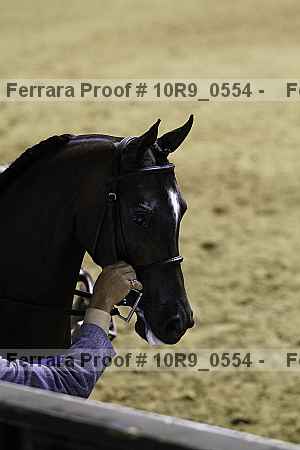 Proof 10r9_0554