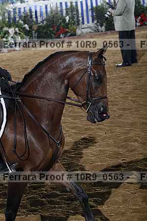 Proof 10r9_0563