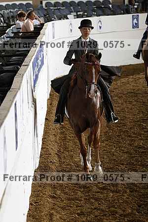 Proof 10r9_0575