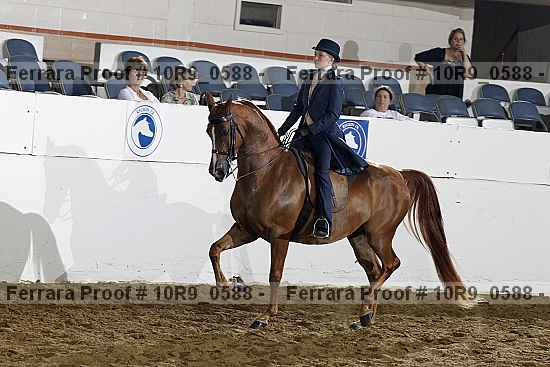 Proof 10r9_0588