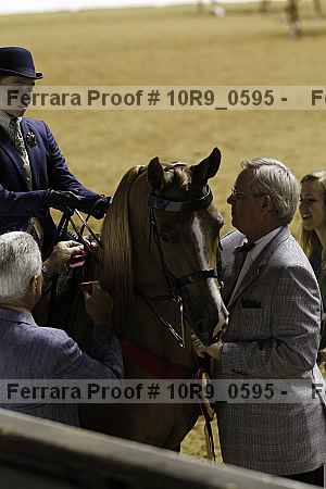 Proof 10r9_0595