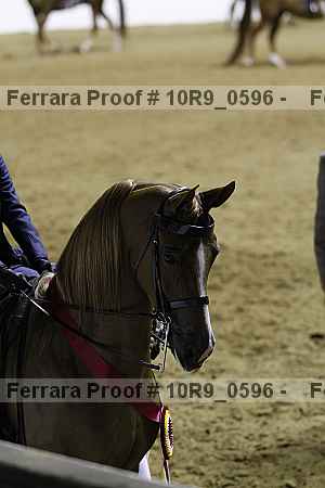 Proof 10r9_0596