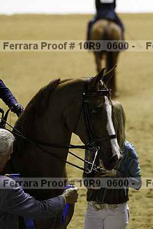 Proof 10r9_0600