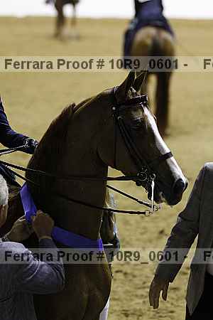 Proof 10r9_0601