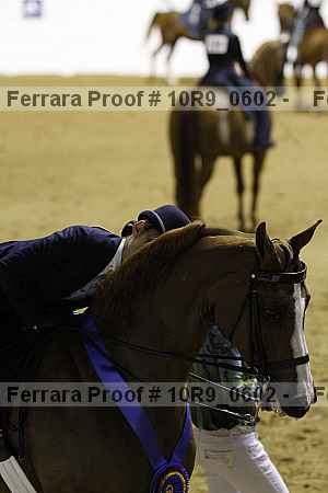Proof 10r9_0602