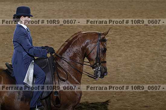 Proof 10r9_0607