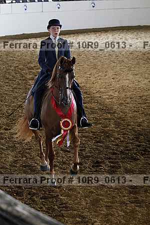 Proof 10r9_0613