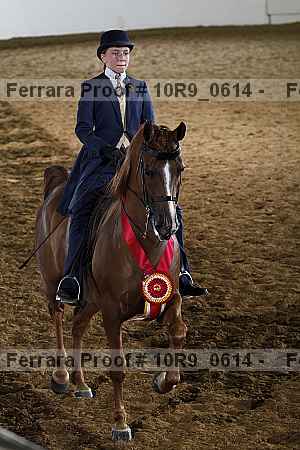 Proof 10r9_0614