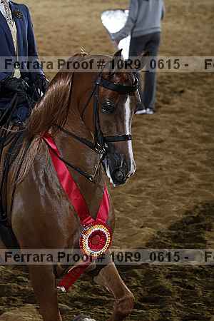 Proof 10r9_0615