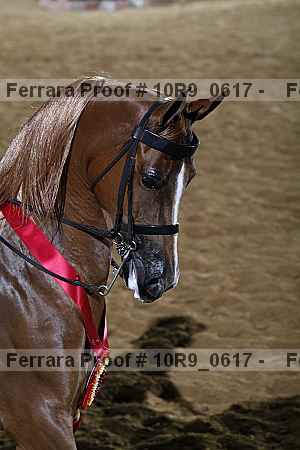 Proof 10r9_0617