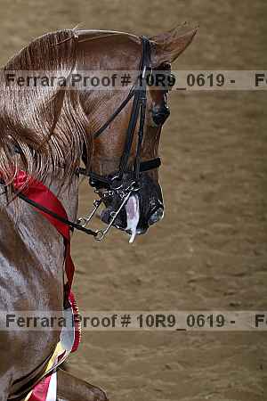 Proof 10r9_0619