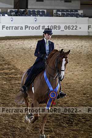 Proof 10r9_0622