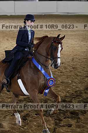 Proof 10r9_0623