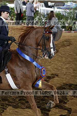 Proof 10r9_0624