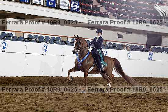 Proof 10r9_0625
