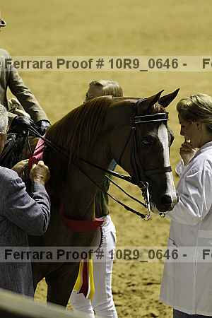 Proof 10r9_0646