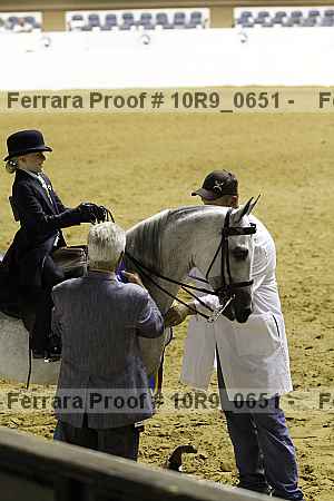 Proof 10r9_0651
