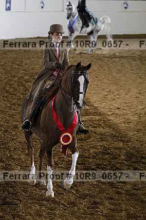 Proof 10r9_0657