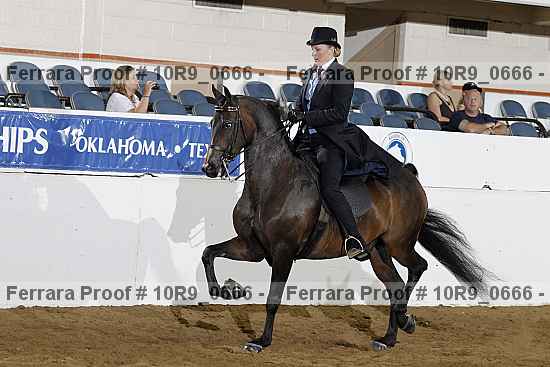 Proof 10r9_0666