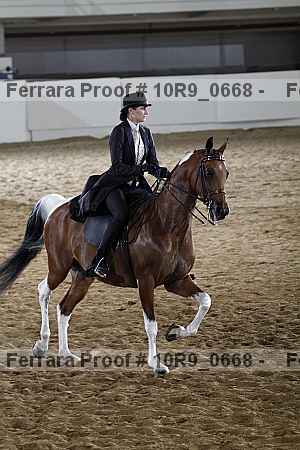 Proof 10r9_0668