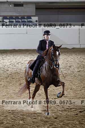 Proof 10r9_0673