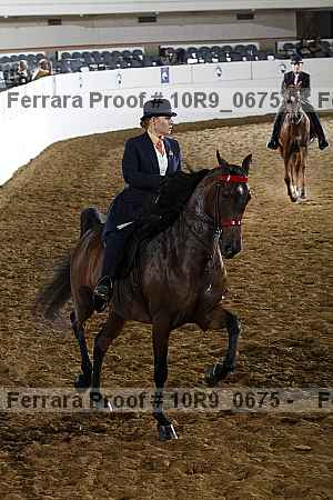 Proof 10r9_0675