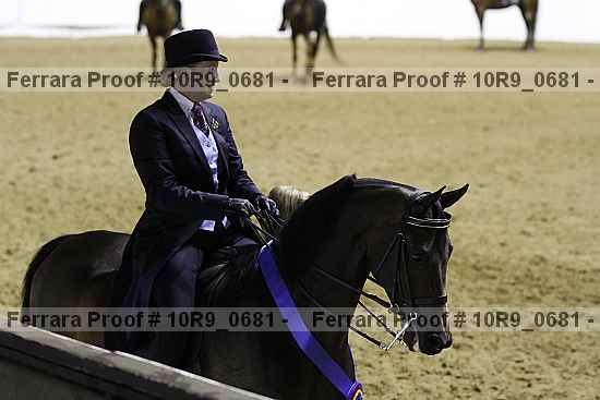 Proof 10r9_0681