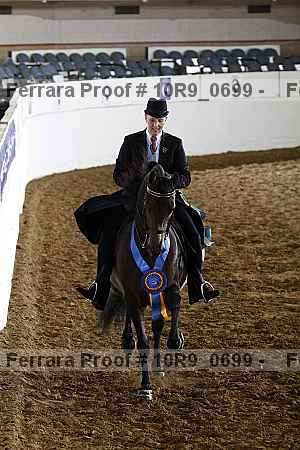 Proof 10r9_0699