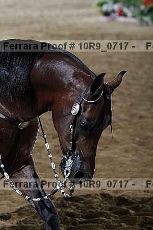 Proof 10r9_0717