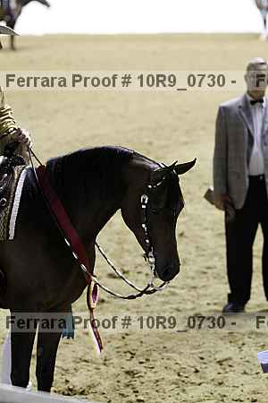 Proof 10r9_0730