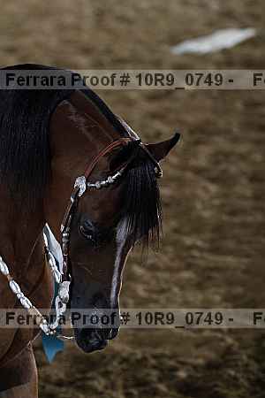 Proof 10r9_0749