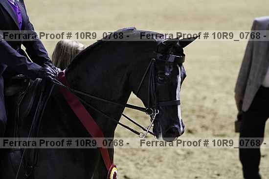 Proof 10r9_0768